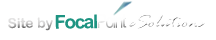 Focal Point eSolutions Website Design